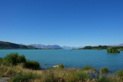 Akaroa und die Hector Delphine