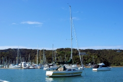 Segeltour in der Bay of Islands