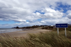 Ein windumtoster Strand