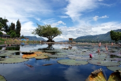 Danau Toba, Tuk-Tuk
