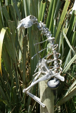 Ein Skelett