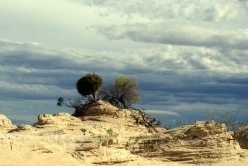 Mungo Nationalpark