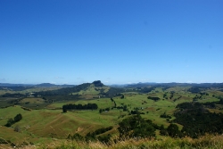 Landschaft im Northland
