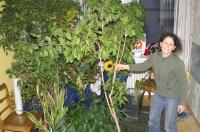 Klaudia und die Blumen